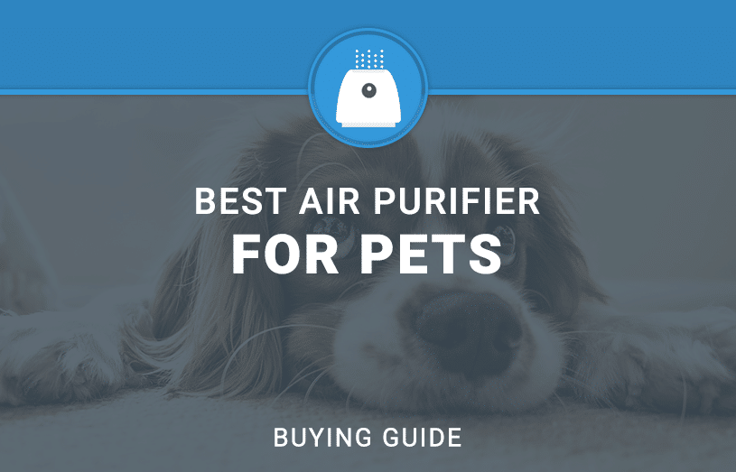 Best air Purifier For pets