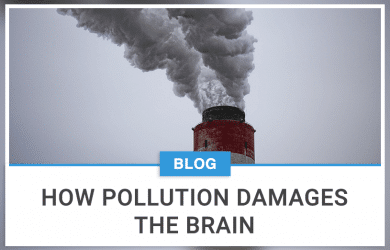 How Pollution Damages The Brain