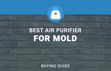 Best air Purifier FOR MOLD