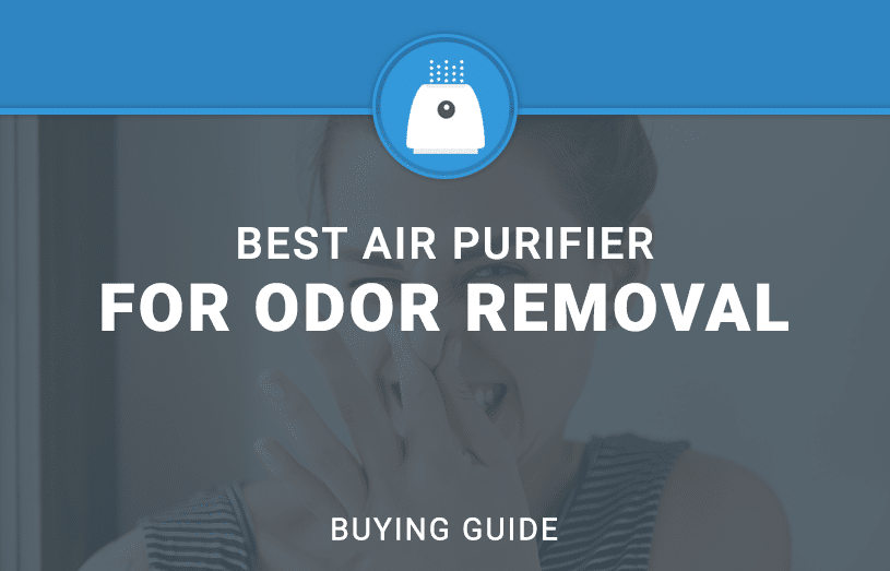 Best air Purifier for Odor Removal