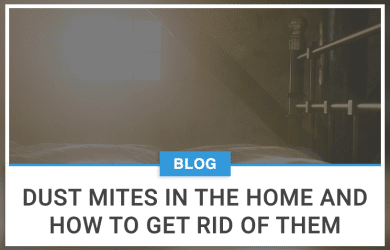 Dust Mites in The Home and How to Get Rid of Them