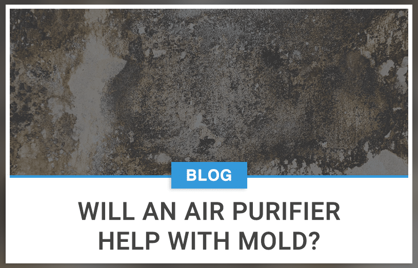 Will An Air Purifier Help With Mold