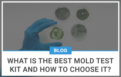 What is The Best Mold Test Kit and How to Choose it