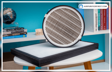 What is a True HEPA Filter