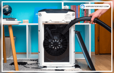 Air Purifier Maintenance Tips and Guides