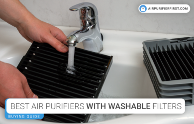 Best Air Purifiers With Washable Filters