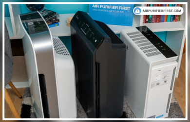 Is it Worth it to Buy an Air Purifier - Answered