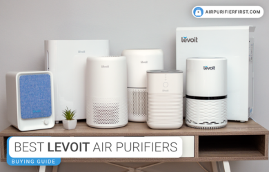 Best Levoit Air Purifiers