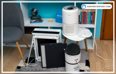 Levoit Air Purifier How to and Troubleshooting Guide