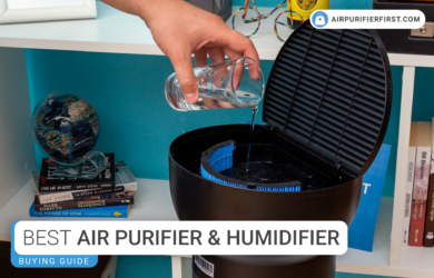 Best Air Purifier and Humidifier Combos - Reviews