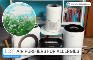 Best Air Purifiers For Allergies - Guide