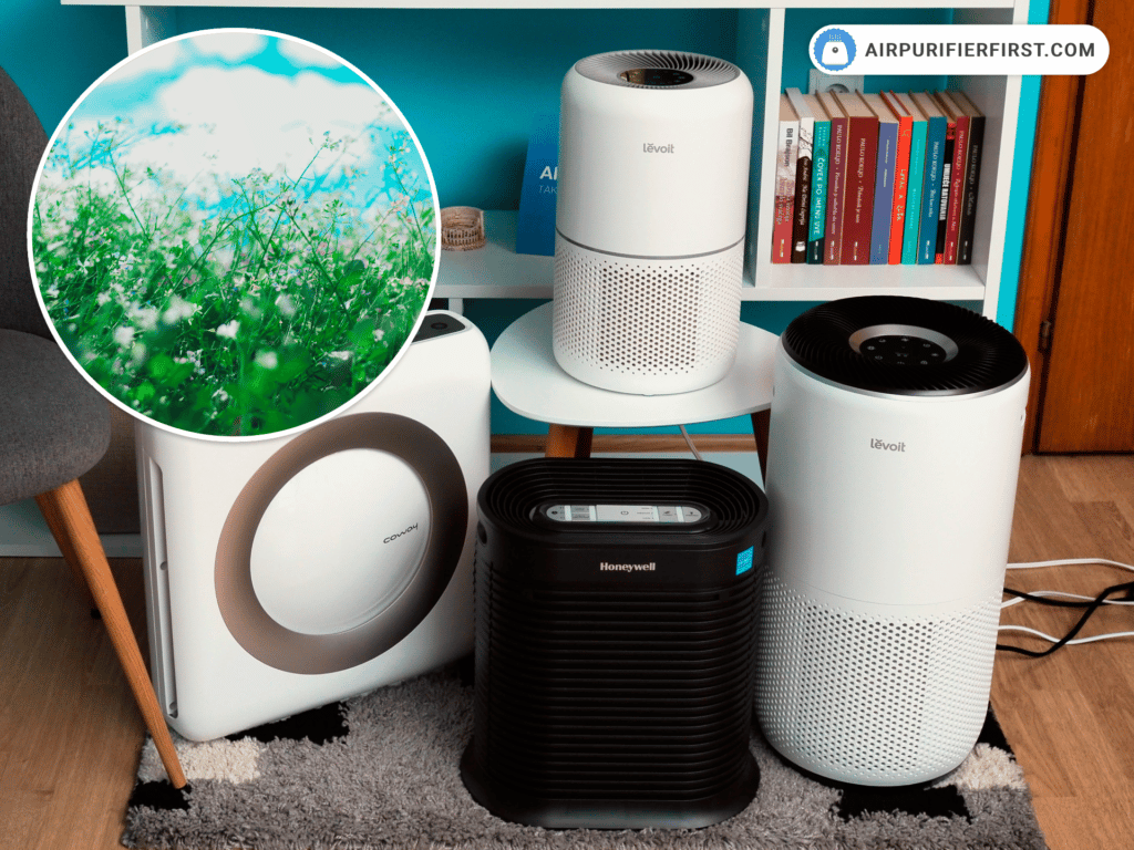Best Air Purifiers For Wildfire Smoke - 1