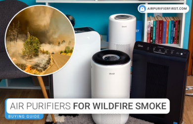 Best Air Purifiers For Wildfire Smoke