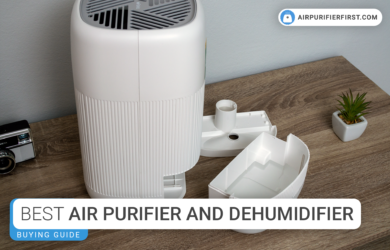 Best Air Purifier and Dehumidifier Combos - Buying Guide