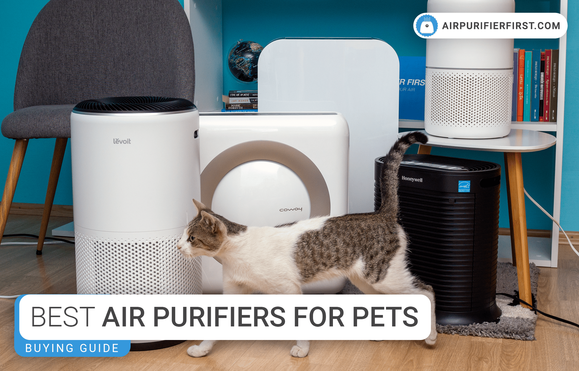 Best Air Purifiers For Pets - Buying Guide