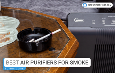 Best Air Purifiers For Cigarette Smoke