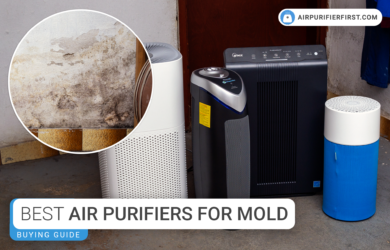 Best Air Purifiers For Mold - In-depth Guide