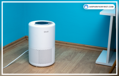 The Ultimate Guide to Air Purifier Placement in Your Home