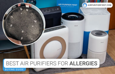 Best Air Purifiers For Allergies - Guide