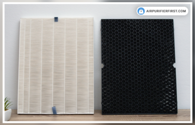 HEPA Vs Carbon Filters - What is the difference