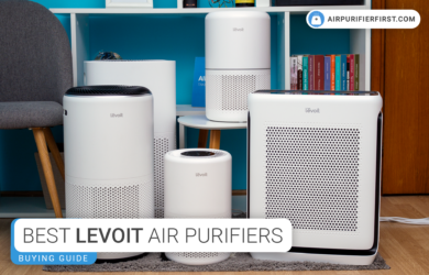Best Levoit Air Purifiers - Buying Guide