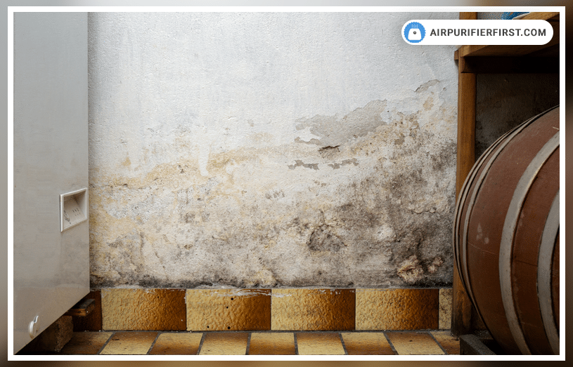 Do Air Purifiers Help With Mold - Answered