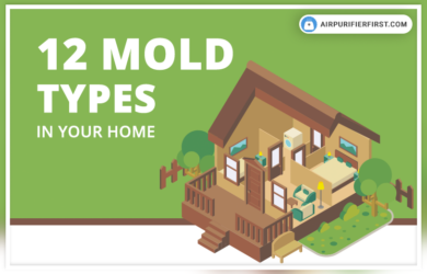 The most common mold types in your home